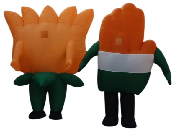 Jumping Slider Bouncy | A One Sky Balloons Delhi