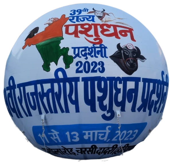 White Sky Balloon | A One Sky Balloons Delhi